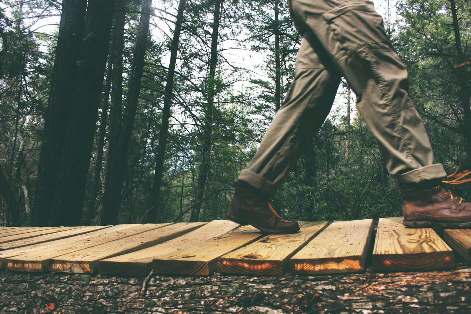 person walking on brown wooden bridge