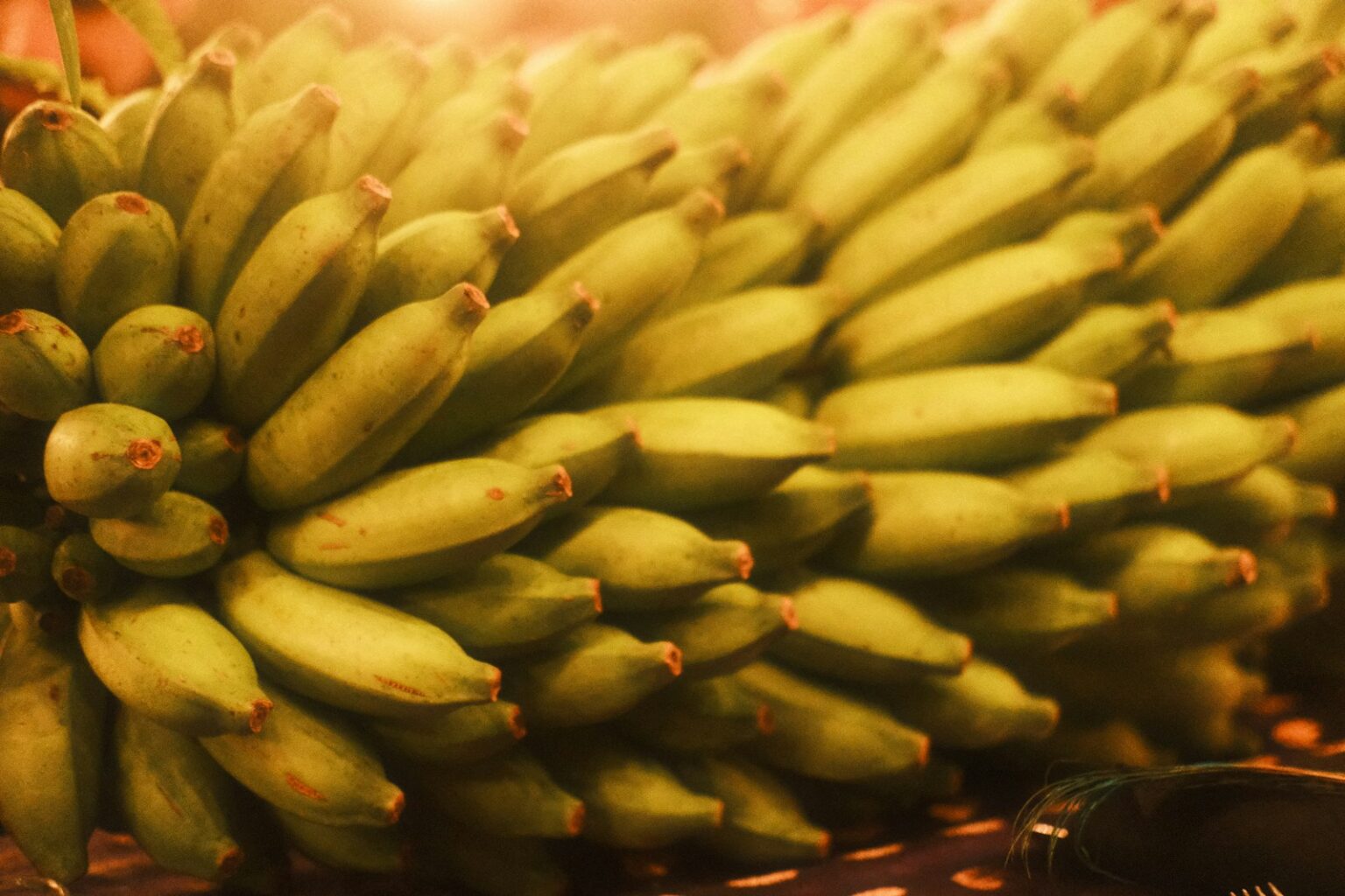 A bunch of green bananas sitting on top of a table