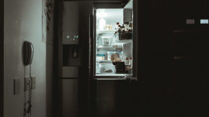 Šaldytos daržo, sodo ar miško gėrybės vis dar užsilikusios daugelio šaldikliuose: faktai apie šaldytus produktus, kuriuos būtina žinoti kiekvienam