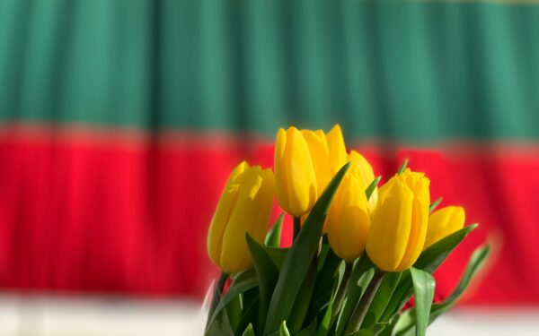 Lietuva mini 107-ąsias valstybės atkūrimo metines: pateikiami svarbiausi faktai apie Lietuvos Nepriklausomybės dieną
