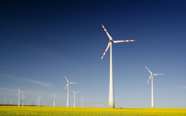 „Ignitis“ ekspertas paneigia mitus apie žaliąją energiją, kuriais vis dar tiki didelė dalis Lietuvos gyventojų, akcentuojamas ir kainų skirtumas