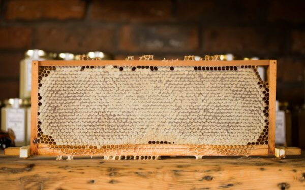 Kosmetikos pasaulyje – nuolatinės paieškos: kodėl propolis tampa grožio industrijos pažiba?