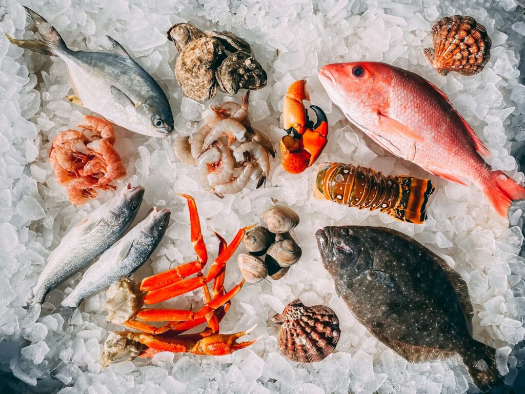 orange and white fish on white and black pebbles