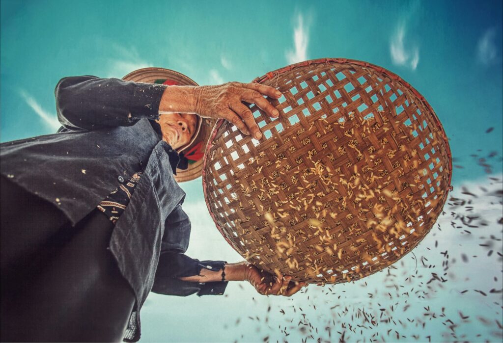 person holding basket