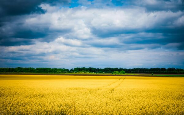 Sovietų nusikaltimai prieš Ukrainą: kodėl Holodomoras turi būti pripažintas visame pasaulyje?