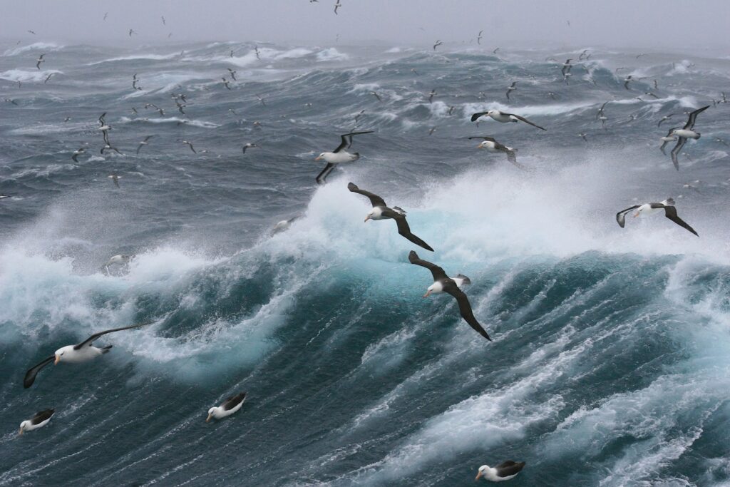 ocean waves