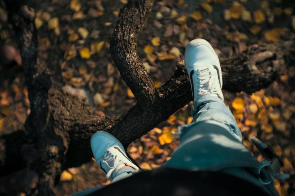 person standing on tree branch