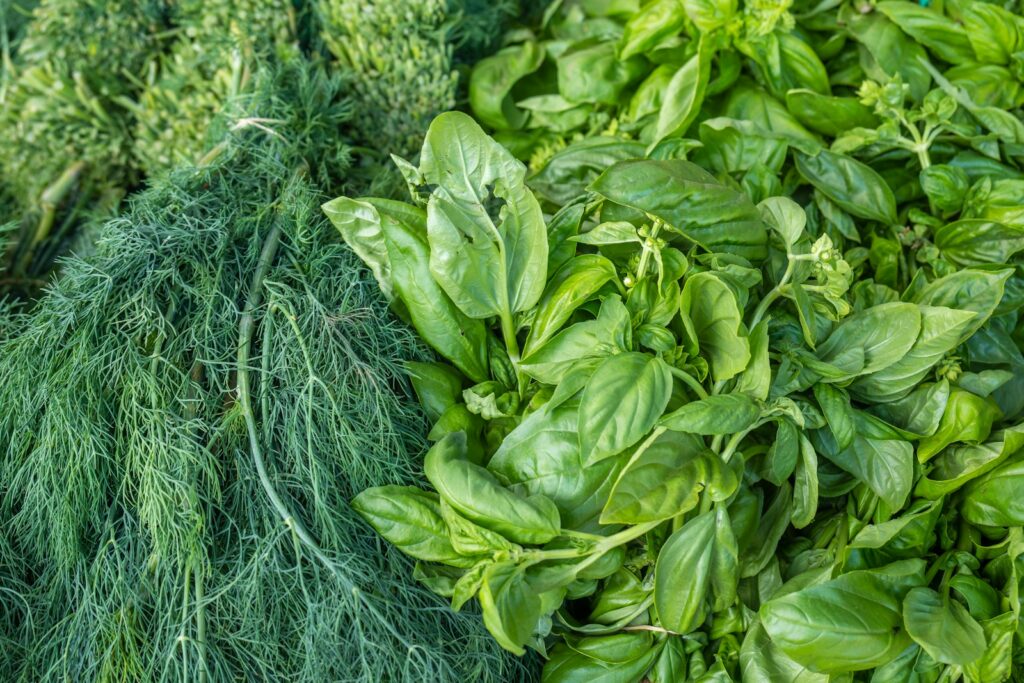 green leaves on blue net