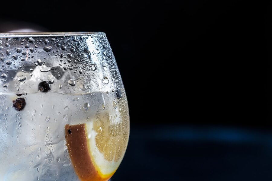 close-up photography of chilled wine glass with clear beverage and slice of lemon