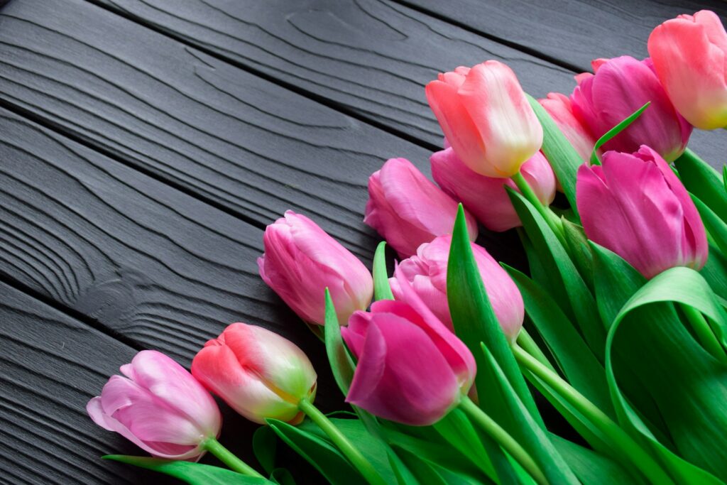 pink tulips on gray wooden surface