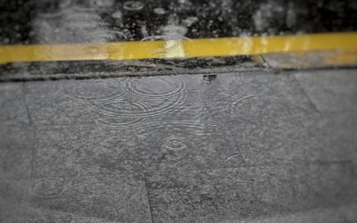 Kaip užuosti lietų dar jam neprasidėjus: kas iš tiesų vyksta ore ir dirvoje prieš audrą