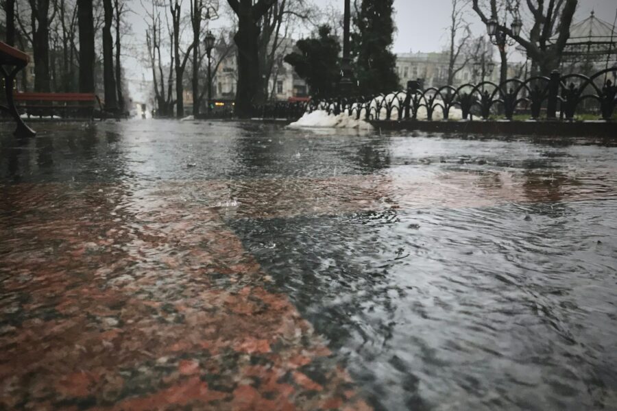 Pagrindinė iliustracija