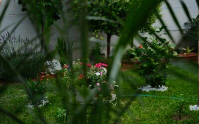 Neįprastos augintinių laidotuvės ir pomirtiniai „vakarėliai“: kaip žmonės atsisveikina su žiurkėnais, tarakonais ir net akmenimis
