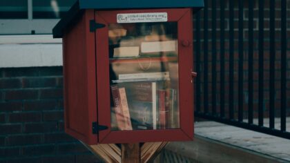 Neįprastos bibliotekos, į kurias keliaujama ne dėl knygų: nuo knygų medžiuose iki slaptų telefoninių būdelių