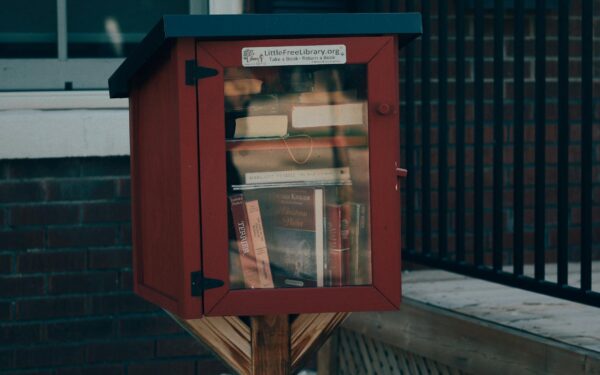 Neįprastos bibliotekos, į kurias keliaujama ne dėl knygų: nuo knygų medžiuose iki slaptų telefoninių būdelių