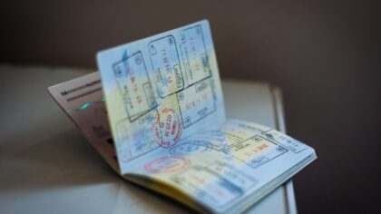 Kai kurioms valstybėms gyvūnai turi pasus ir socialines garantijas: keisčiausi teisiniai gyvūnų statusai pasaulyje