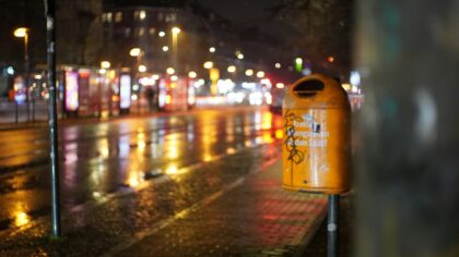 Kaip gyvena miestų lapės: faktai apie prisitaikymą, atmintį ir neįprastą draugystę su žmonėmis