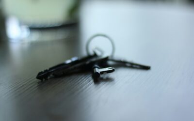Kaip skamba pasaulis per spynas: neįtikėtinos durų raktų kolekcijos ir jų savininkų manijos