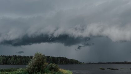 Kodėl kai kur lyja žuvimis ir varlėmis: kaip susidaro keisčiausios liūtys ir ką apie jas žinome
