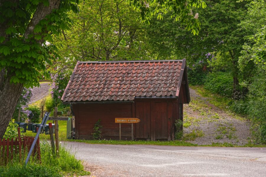 Pagrindinė iliustracija